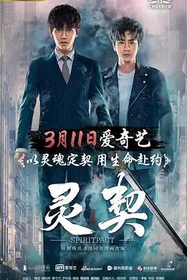 灵契封面图